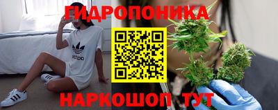 прущие грибы Балахна