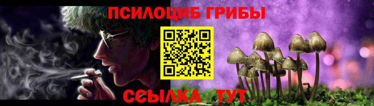 купить  цена  Вход с VPN  Железногорск  Галлюциногенные грибы Cubensis 